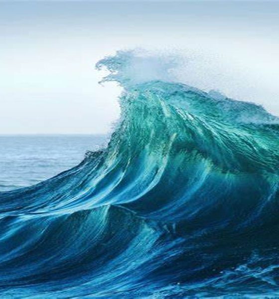 high-tide