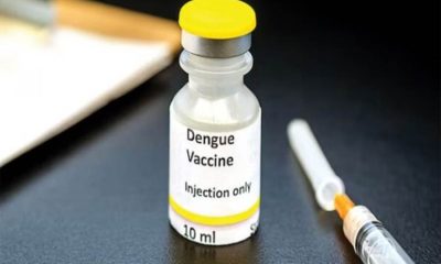 dengue-vaccine