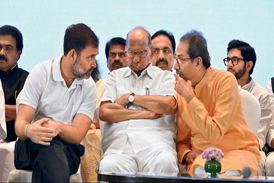 rahul,-sharad-&-uddhav