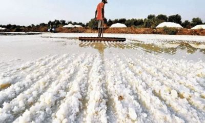 salt land