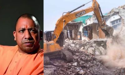 Yogi-Bulldozer