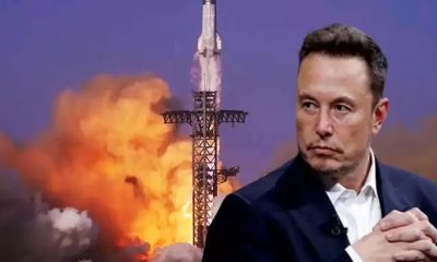 Allen-Musk