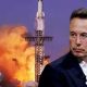 Allen-Musk