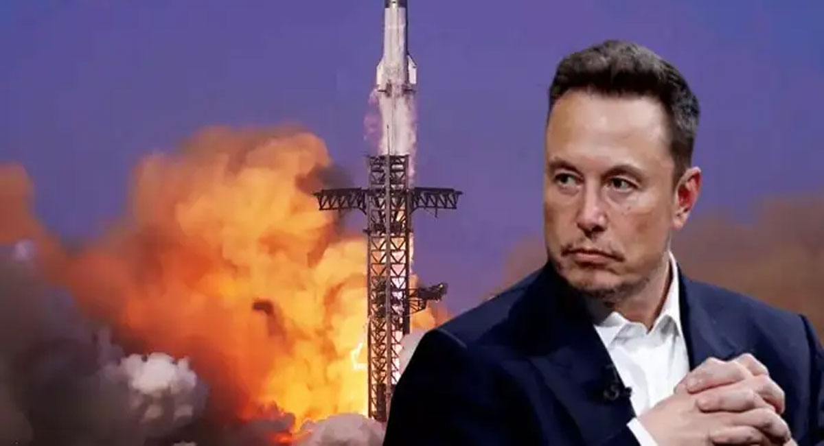 Allen-Musk