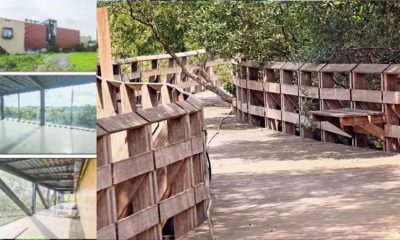 Gorai Mangrove Park