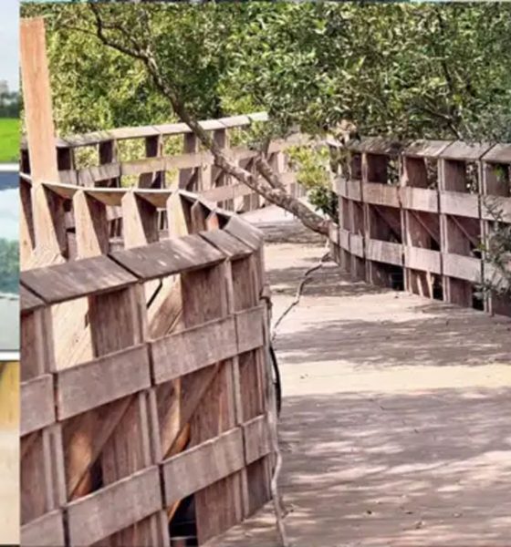 Gorai Mangrove Park