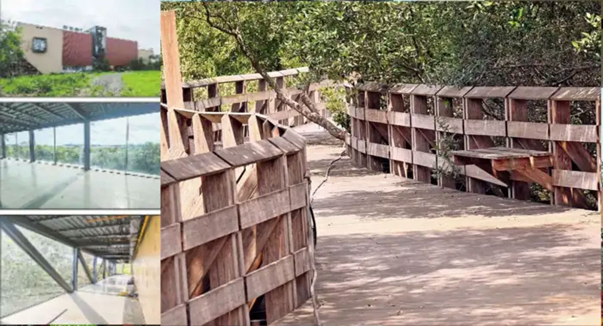Gorai Mangrove Park