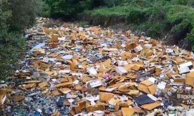 garbage and waste