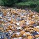 garbage and waste