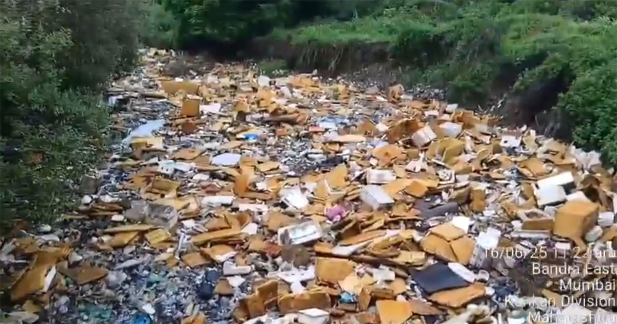 garbage and waste