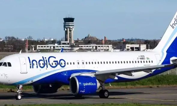 Indigo