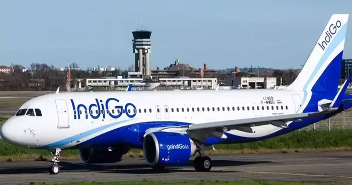 Indigo