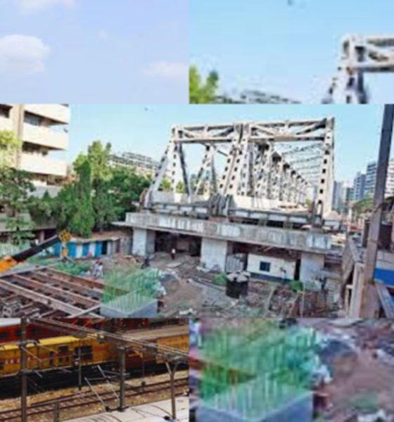 Vidya-Vihar