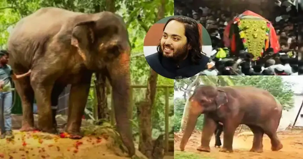 Mahadevi-Elephant