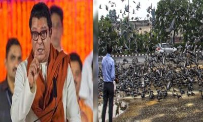 Raj Thackeray