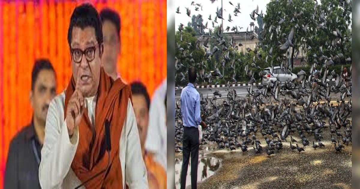 Raj Thackeray