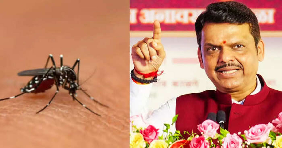 dengu--fadnavis