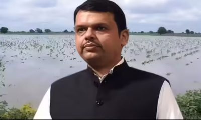 D.-Fadnavis
