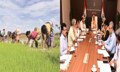 kisan & cabinet