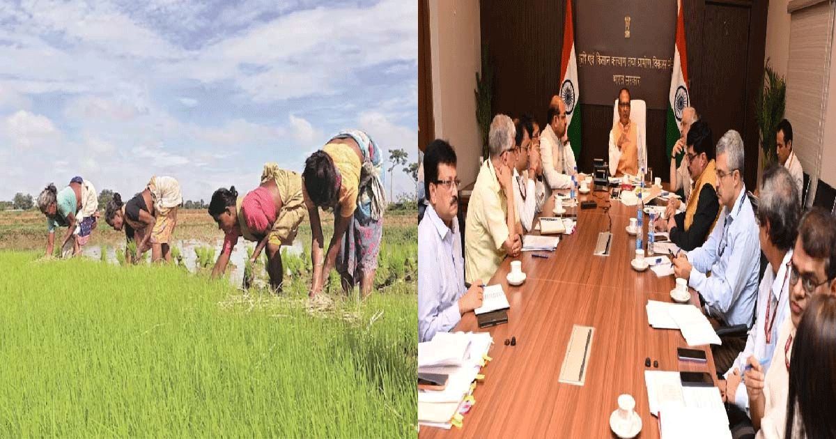 kisan & cabinet