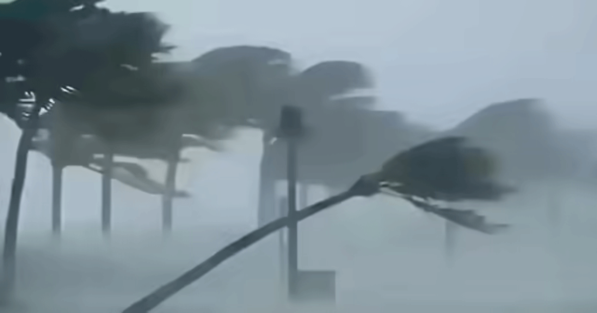 Havy-Rain