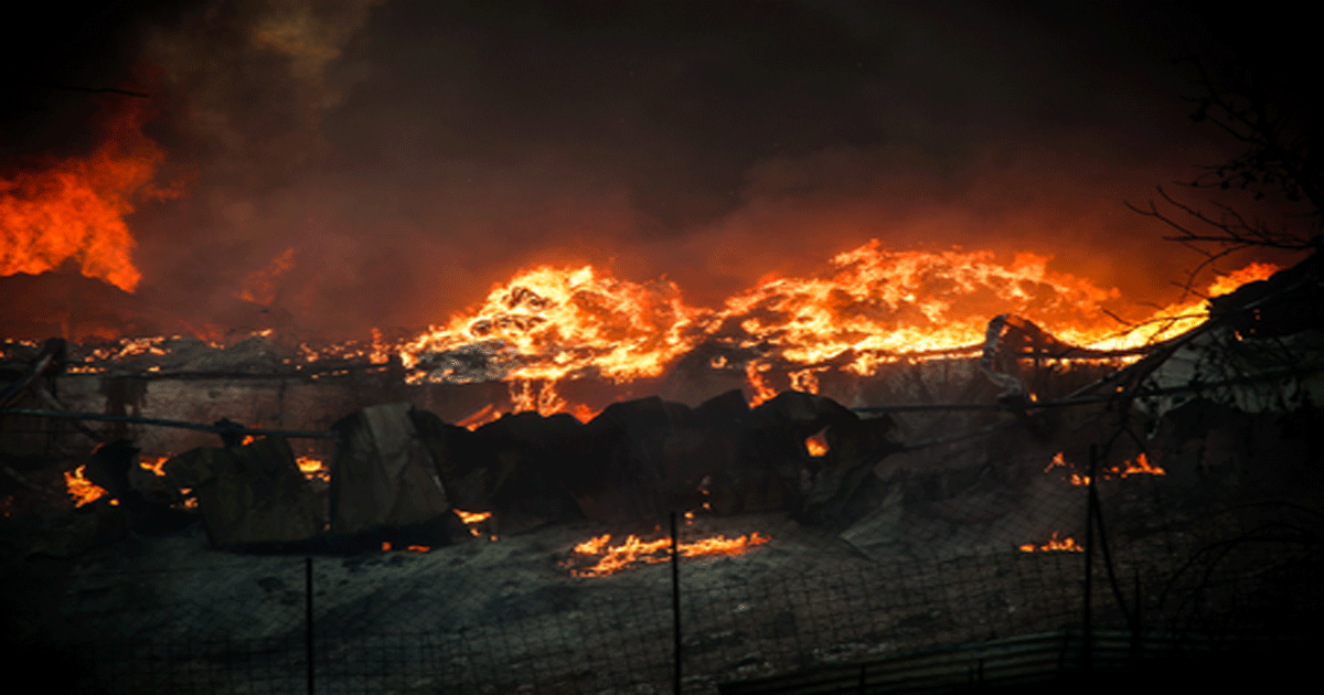 Forest fires